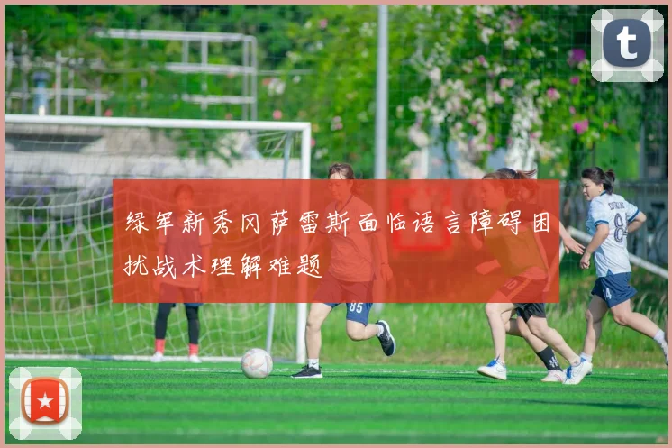 绿军新秀冈萨雷斯面临语言障碍困扰战术理解难题